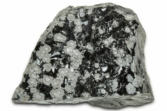 Snowflake Obsidian Section - Utah #327121